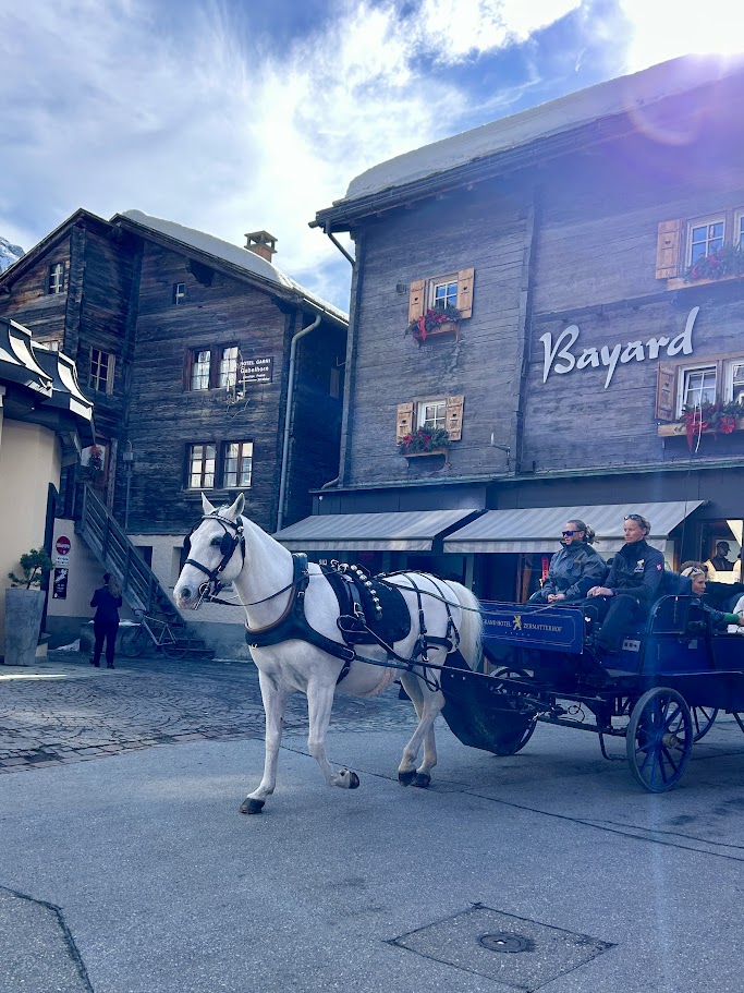 Horse Drawn Carriage in Zermatt Switzerland 